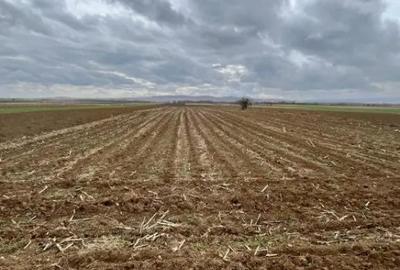 Teren de 2500 mp, în Horodnic - 4