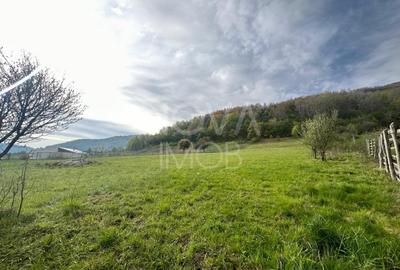 Teren 6642 mp - Sibiel, Str. Gradinarilor - 2