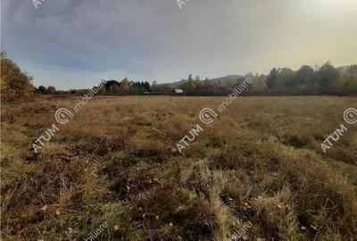 Teren intravilan de vanzare in Avrig zona Valea Avrigului - 6