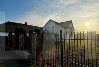 Casă cu 7 camere cu Teren 938 Mp în Peciu Nou - 2