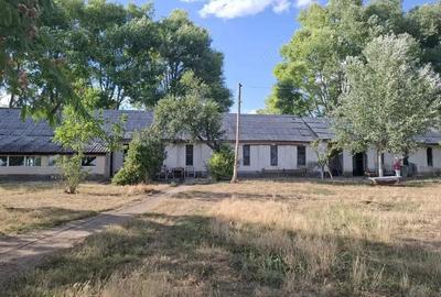 Ferma cu teren agricol de vanzare in Nadlac - 2