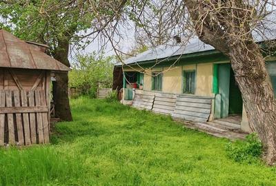 Casă cu 4 camere în Central - 3
