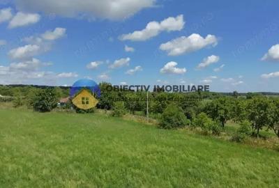 Teren intravilan de vanzare Unghi- jud. Neamt - 13