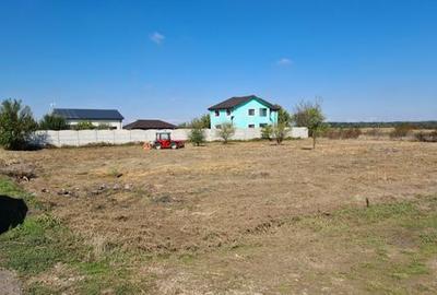 Teren de 1000 mp, în Copăceni - 4