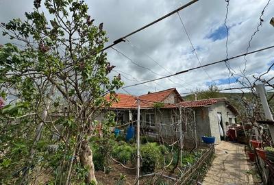 Casă cu 3 camere în Babadag - 6