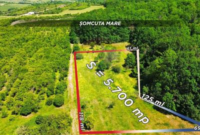 Teren Construcții intravilan de 5700 mp, în Sud-Vest - 13