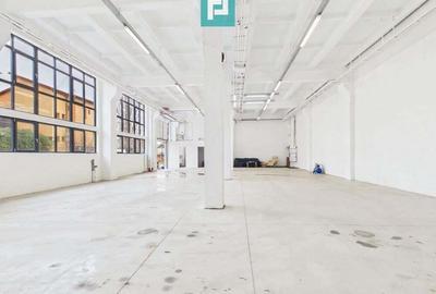 Hala industriala de 295 mp in Arad - 1