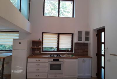 Spațiu comercial, în Gilău - 4