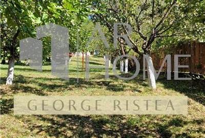 Casă individuală cu 6 camere cu Teren 2043 Mp în Piatra (Provița de Jos) - 28