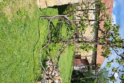 Casă cu 2 camere cu Teren 2200 Mp în Urviș de Beiuș - 5