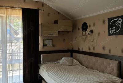 Casa de vanzare, direct proprietar, pe strada Straubing - Goranu - 8