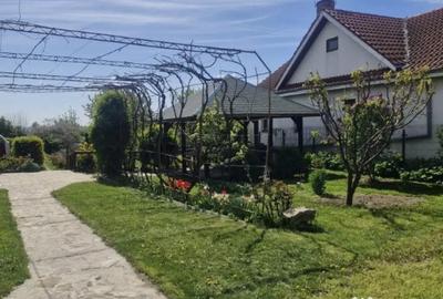 Casă cu 3 camere cu Teren 890 Mp în Merei - 12