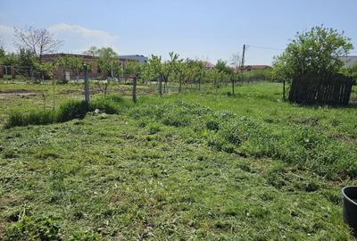 Casă cu 2 camere în Cihei - 5