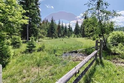 Teren de 9685 mp, în Neagra - 2