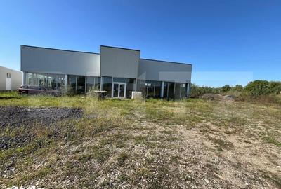 Spațiu comercial, de 480 mp, în Răzvad - 10