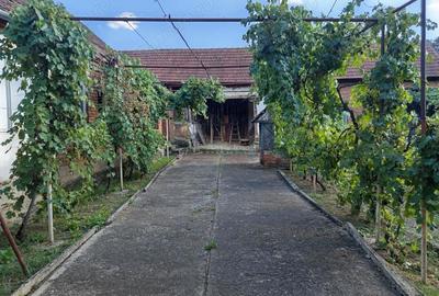 Casă cu Teren 842 Mp în Naidăș - 3