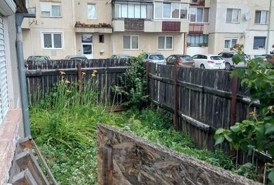 Casă cu 2 camere cu Teren 483 Mp în Criș - 10