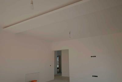 Casă cu 3 camere în Satu Nou de Jos - 4