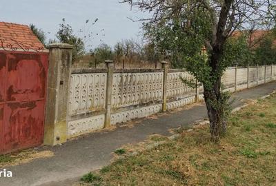 Casă cu 4 camere cu Teren 6153 Mp în Sinersig - 11