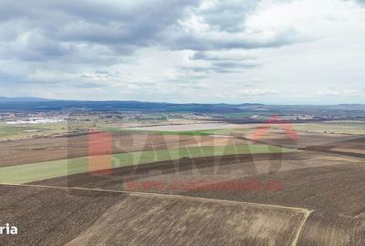 Teren de 50400 mp, în Șura Mică - 5