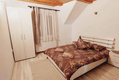 Casa tip pensiune la munte. - 2