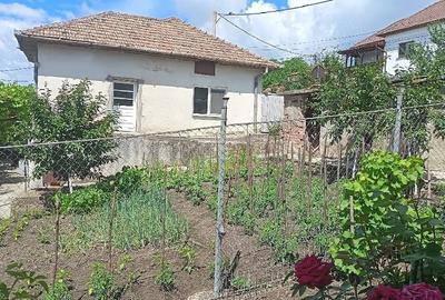 Casă cu Teren 496 Mp în Central - 3