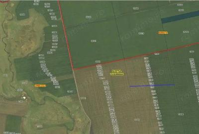 Teren extravilan Orbeasca, ID: R2836912 - 3