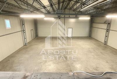 Spațiu industrial, 231 mp în Dumbrăvița