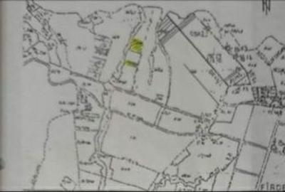 Teren de 11600 mp, în Fârdea - 1