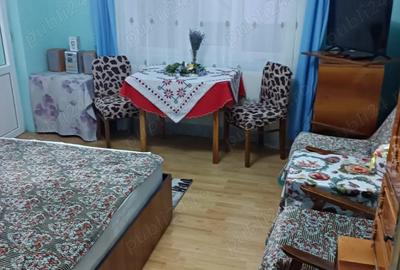 Vand casa sat Tampa comuna Bacia - 5