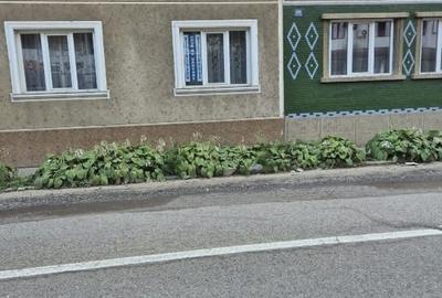 Casă individuală cu 9 camere cu Canalizare în Pecinișca - 3