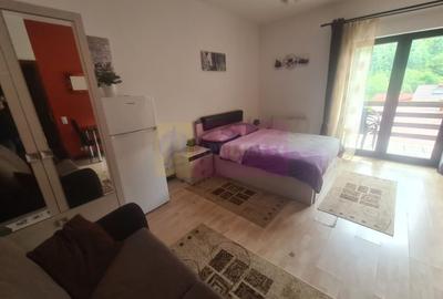 Garsoniera de inchiriat in Sinaia - 1