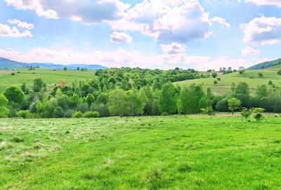 25.000 mp TEREN IDEAL AFACERE TURISM – AMENAJARE LAC DE PESCUIT, CIUCEA - CLUJ - 32