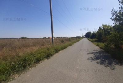 Teren pentru case in 1 Decembrie - 3