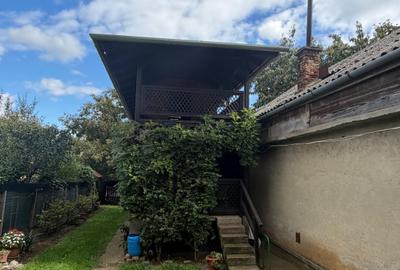 Casa de vinificatie in Viile Tieamului Carei - 23