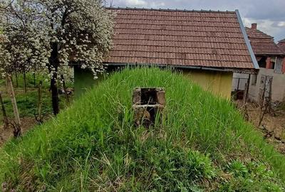 Casă în Petreu - 2