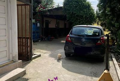 Casă cu 4 camere cu Teren 746 Mp în Nojorid - 16