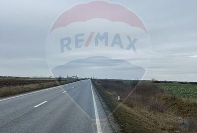 Teren intravilan 80500mp. aproape de nodul rutier de pe DX Oradea-Arad - 10