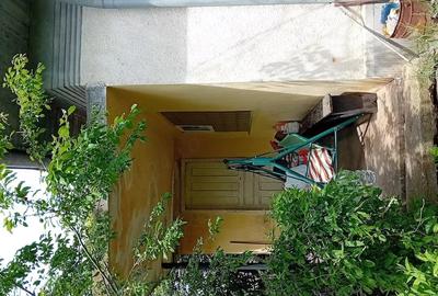 Casă cu 3 camere cu Teren 1250 Mp în Valea Stanciului - 3