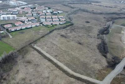 Teren de 5000 mp, în Albina - 5