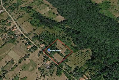 Teren de 46000 mp, în Călineștii de Sus - 3
