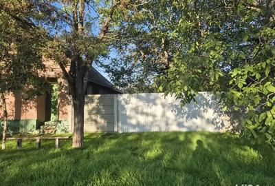 Casa batraneasca - 8