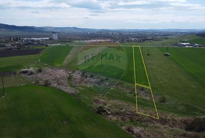 Teren Construcții extravilan de 8600 mp, în Luna de Jos - 10