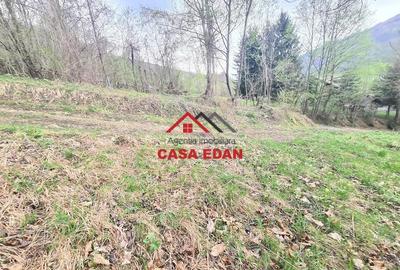 Teren de 1000 mp, în Teșila - 16