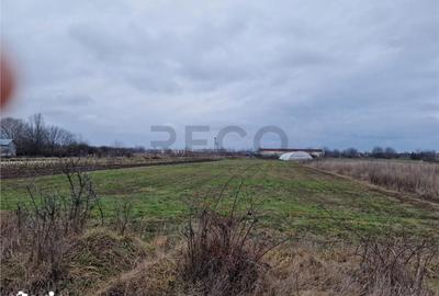 Teren de 1167 mp, în Borș