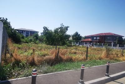 Teren de vanzare drumul cavnic 35 straulesti Teren de vanzare drumul cavnic 35 straulesti - 3