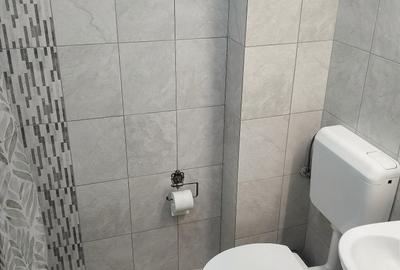 Apartament cu 2 camere decomandat, mobilat în Metalurgiei - 8