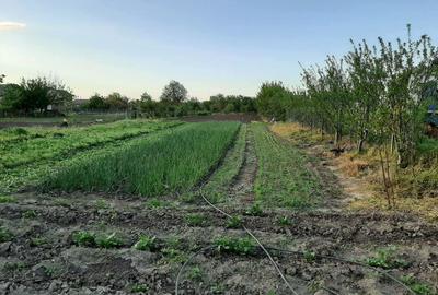Teren de 4000 mp, în Măgureni - 4
