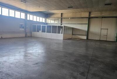 Hala Calea Lugojului 1400 mp 6000 euro - 1