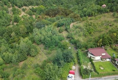 TEREN cu priveliste- Valea Cerbului - 3